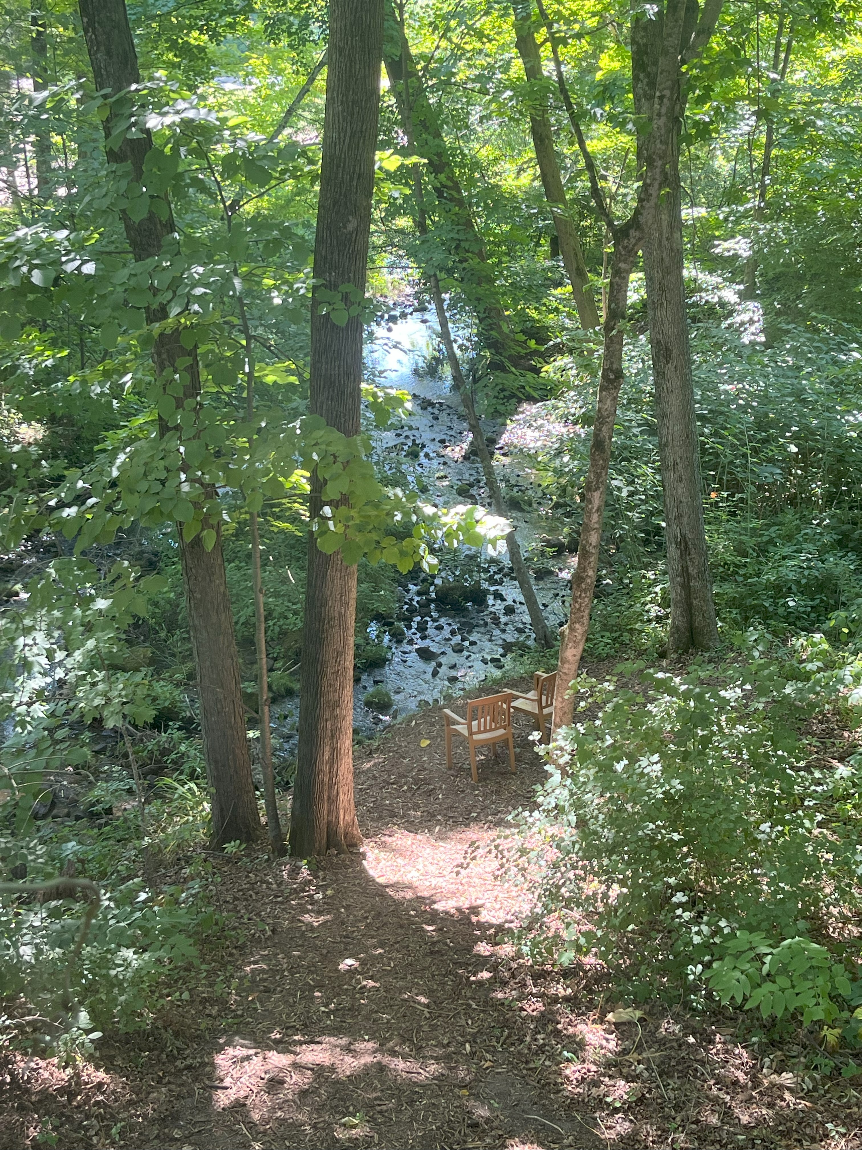 Wooded path leading to bench overlooking Prentice Creek